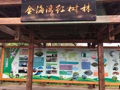 -北海金海湾红树林生态旅游区