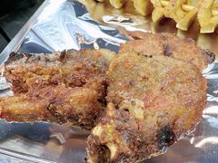 -云晓光头烧烤吧(德平路店)