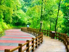 -重庆武隆天生三桥风景区-神鹰天坑