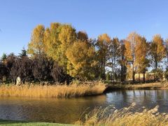 -安德鲁户外烧烤帐篷营地(马泉营店)