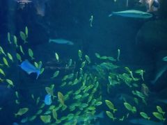 -成都浩海立方海洋公园