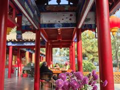 -中卫御苑福膳·养生局(圆明园店)