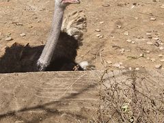 -沈阳森林动物园