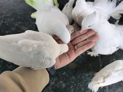 -常州淹城野生动物世界