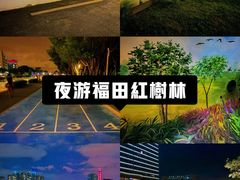 -福田红树林生态公园