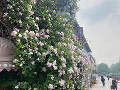 -元大都城垣遗址公园