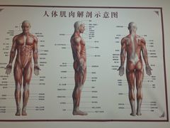 -殊德医馆