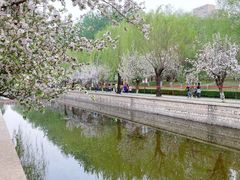 -元大都城垣遗址公园