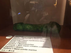 -冰岛阴茎博物馆