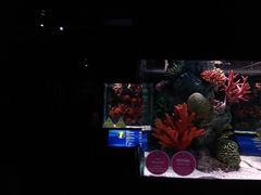 -暹罗海洋世界