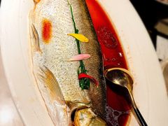 清蒸白水鱼-醉庐·新上海菜(南京西路店)