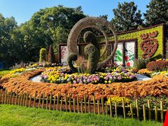 -上海共青森林公园