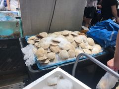 扇贝-盒马鲜生(曜一城店)