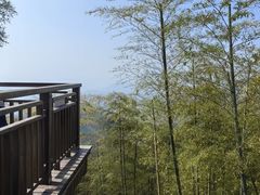 -莫干山风景区