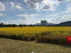 -光明小镇欢乐田园