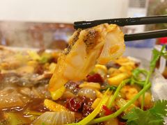 -重庆火锅水库鱼庄(南油店)