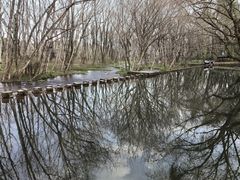 -西溪南古村落景区