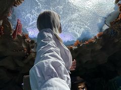 -南昌融创海世界