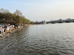 -长春市南湖公园