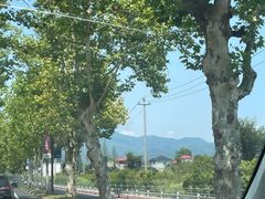 -莫干山风景区