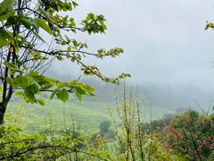 -婺源风景区