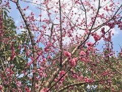 -沙河三洞古桥公园