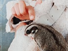 -COFFEE CALL(云锦路店)