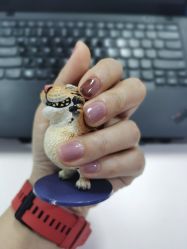 -悦指间美甲美睫