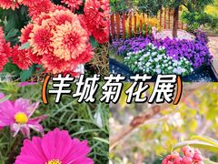 -广州文化公园