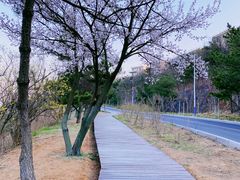 -棒棰岛宾馆景区