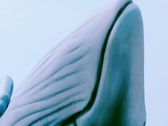 -在海一方公园