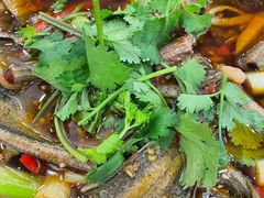 -高坎一品甲鱼庄(两河店)