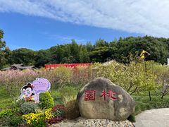 -三国水浒景区(无锡影视基地)