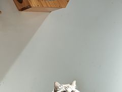 -听TA说宠咖·宠物生活馆(天韵水岸店)