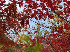 -少华山国家森林公园