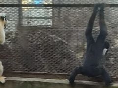 -昆明动物园