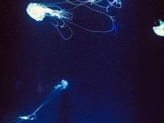 -杭州海底世界