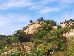 -大岭沟猕猴桃谷风景区