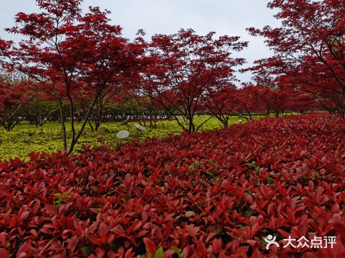 诺贝尔湖公园图片