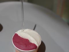 -Dip in Gelato(富民路店)