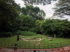 -新加坡飞禽公园