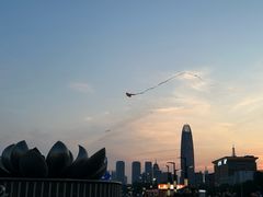 -教师之家赵家羊汤馆(东青龙街店)