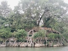 -桂林两江四湖景区
