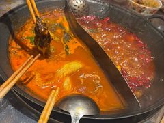 -朱光玉火锅馆(正弘城店)