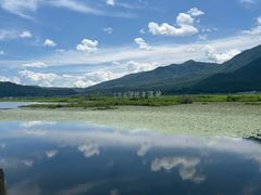 -腾冲北海湿地