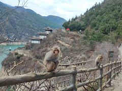 -白帝城·瞿塘峡景区