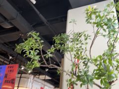 -Pekaa啤咖食肆Coffee&Bistro