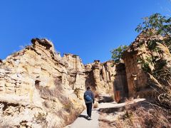 -元谋土林景区(物茂土林)