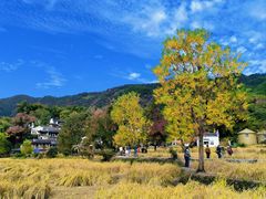 -塔川景区