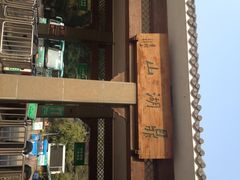 鼎湖山-鼎湖山风景区